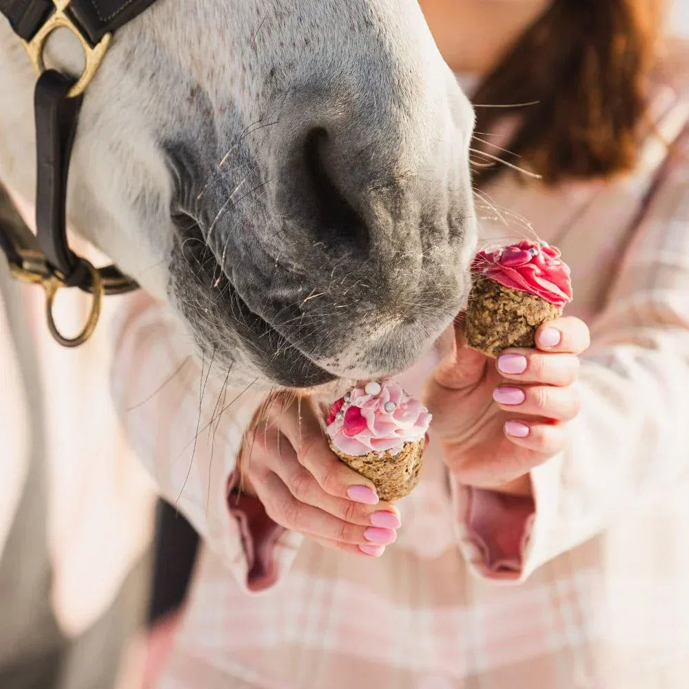 RAINBOW MUFFIN Leckerlie - Pony Bueno