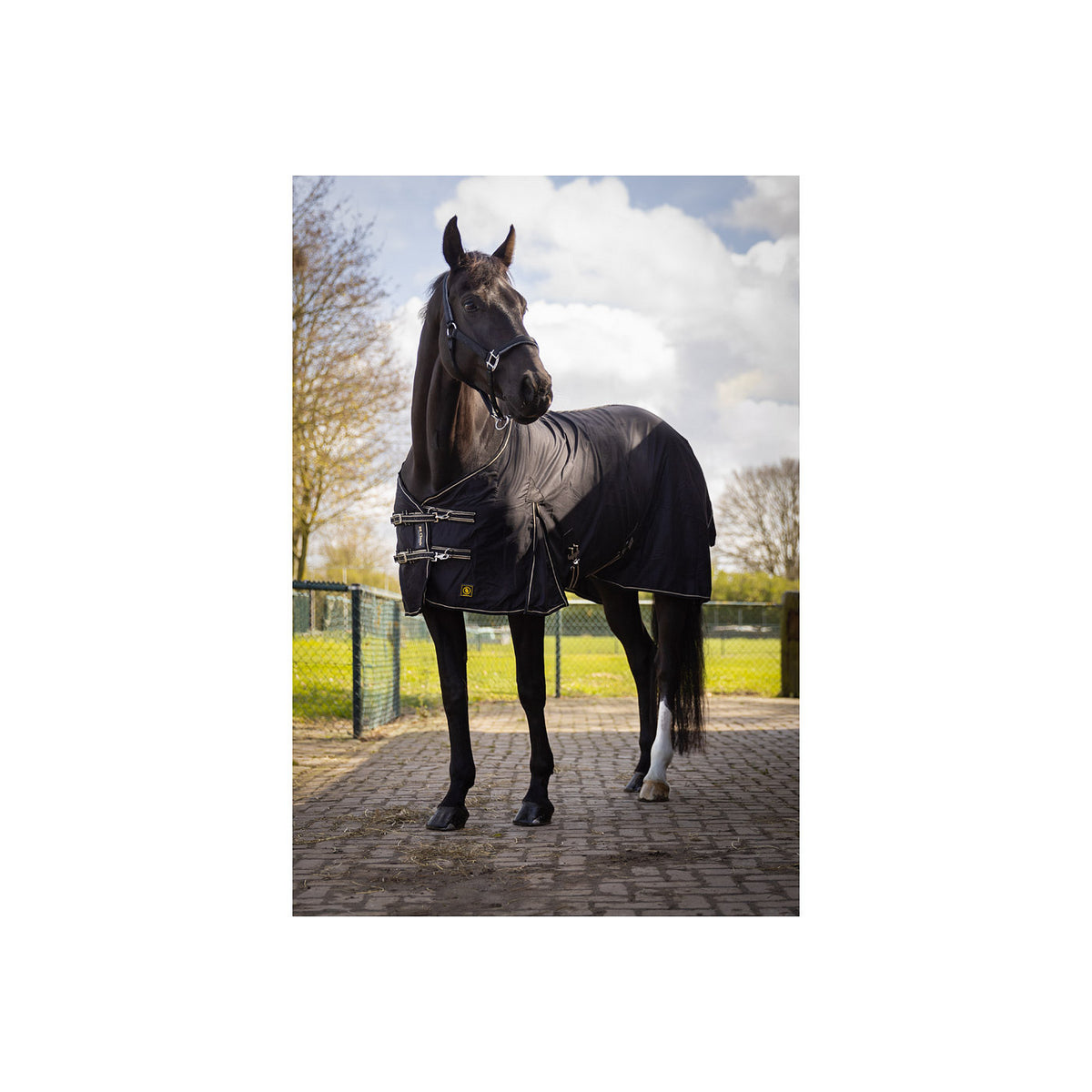 BR Baumwolldecke Classic
