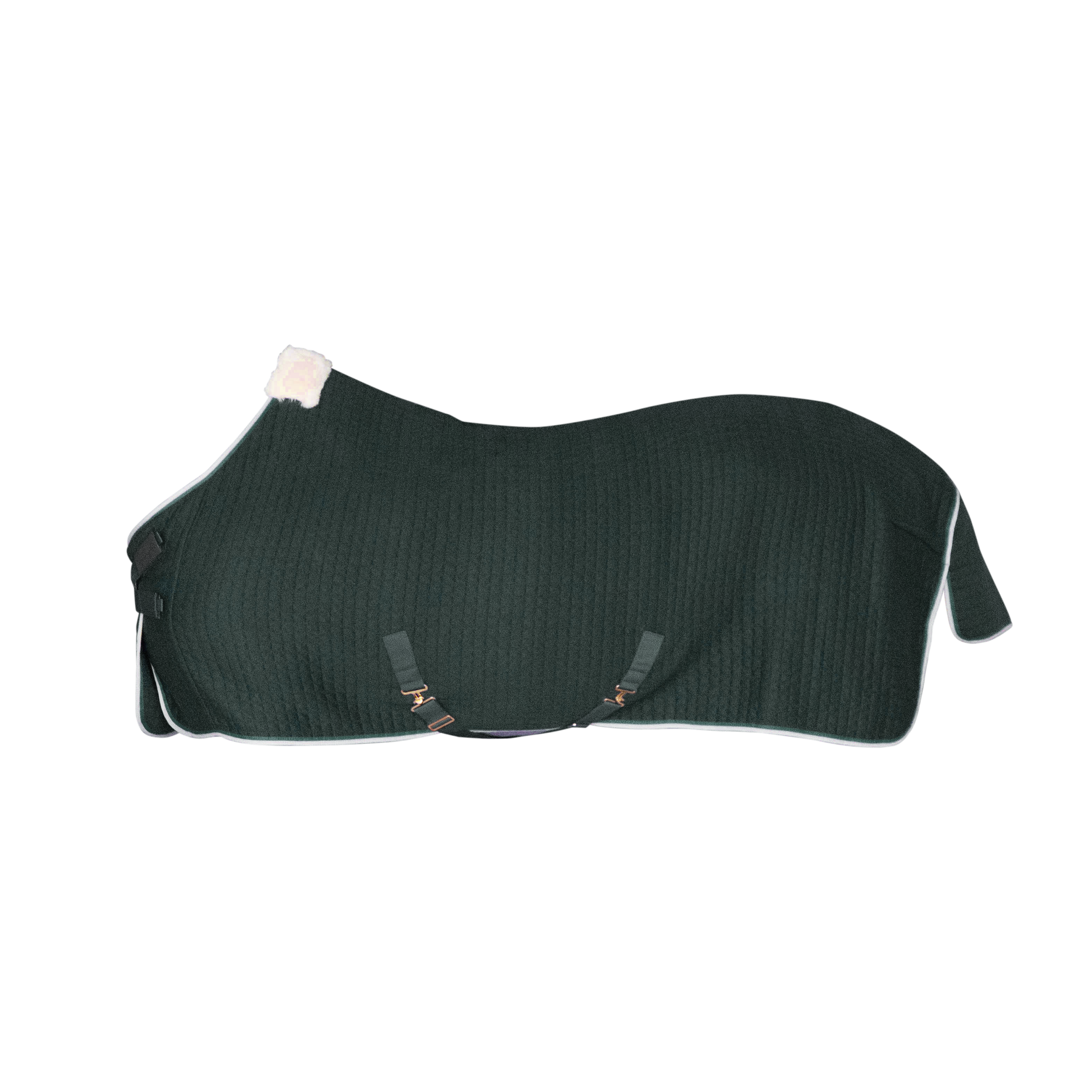 Abschwitzdecke PROTherm