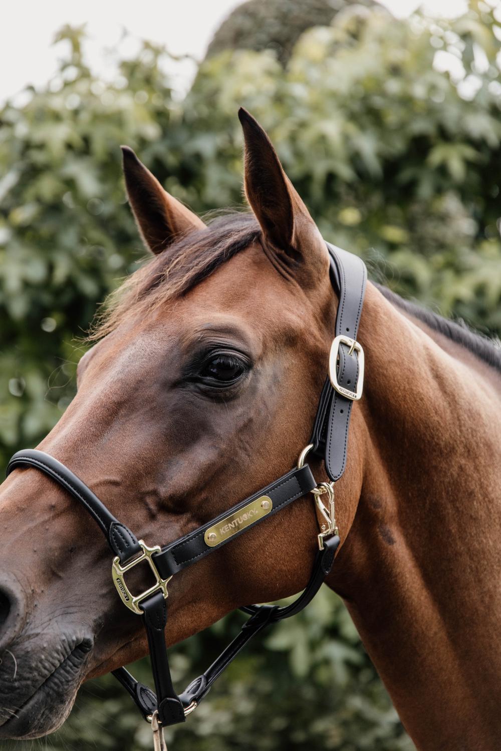 Anatomisch Lederhalfter - Kentucky Horsewear