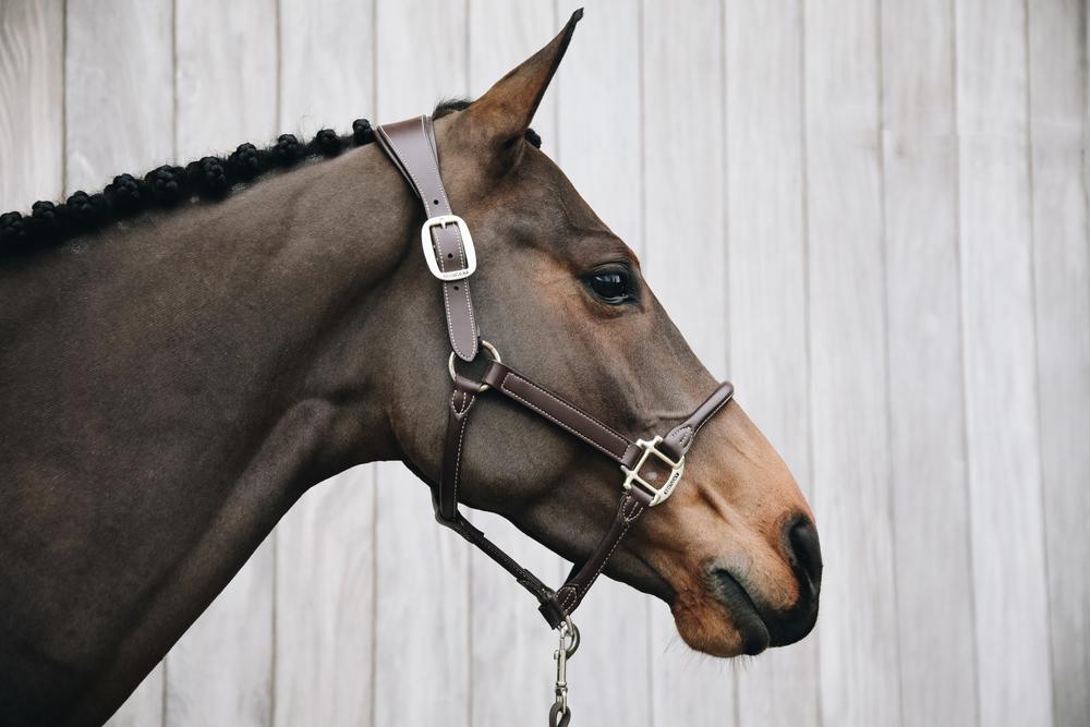 Anatomisch Lederhalfter - Kentucky Horsewear