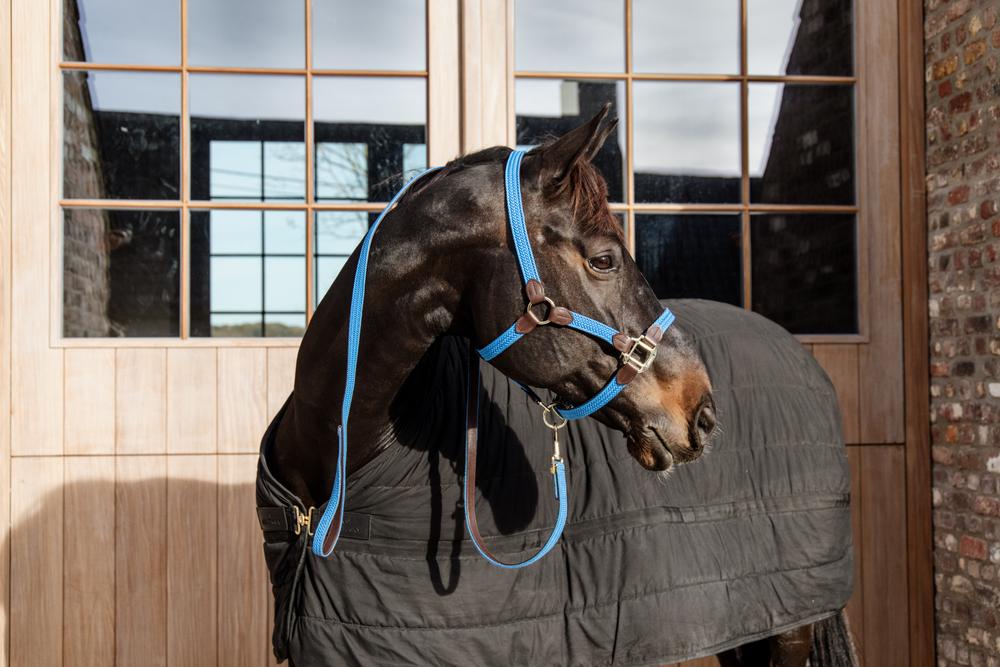 Halfter Plaited Nylon - Kentucky Horsewear