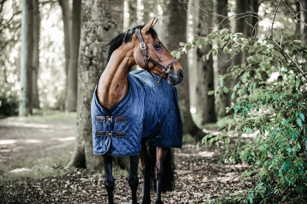 Stalldecke