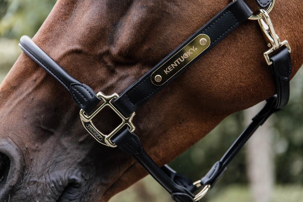 Namensschild Halfter - Kentucky Horsewear