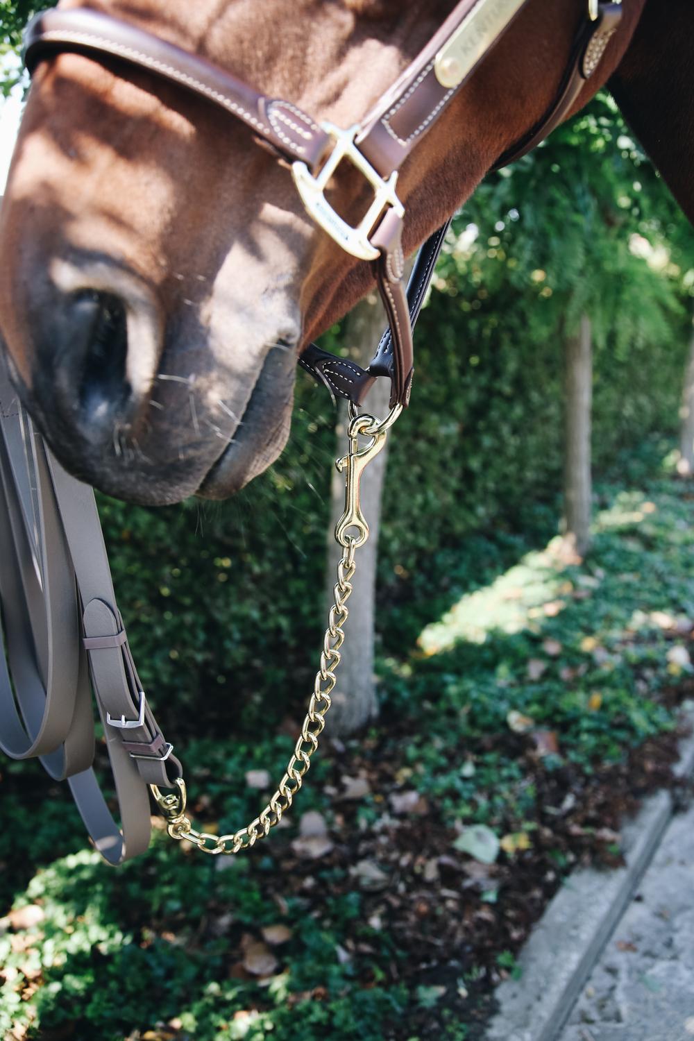 Hengstkette - Kentucky Horsewear