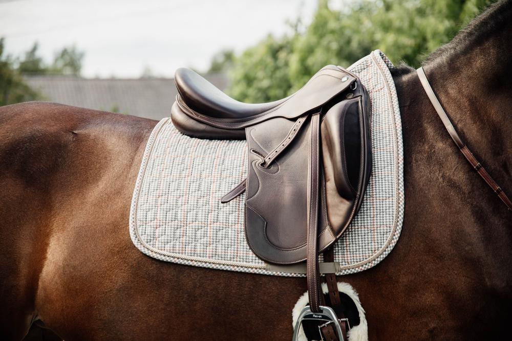 Schabracke Pied-De-Poule Dressur - Kentucky Horsewear