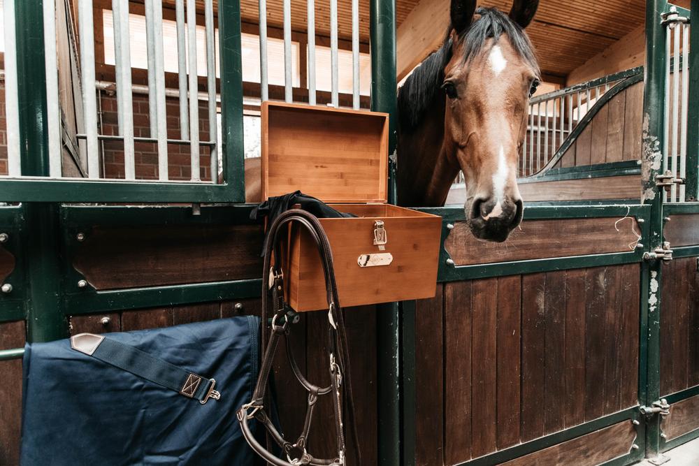 Stall Tack Box - Grooming Deluxe