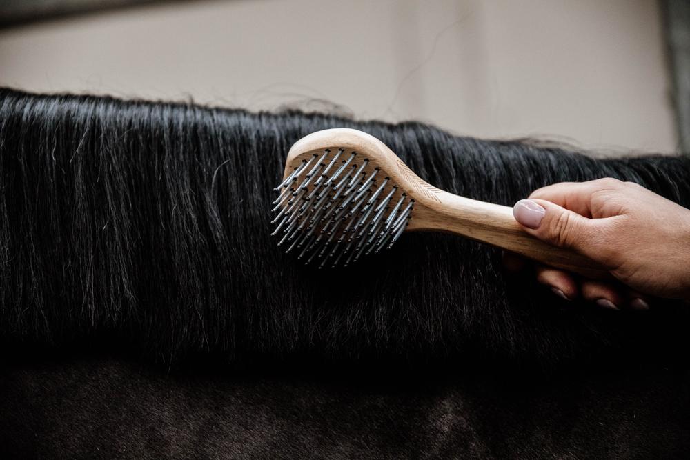 Mähnenbürste - Grooming Deluxe