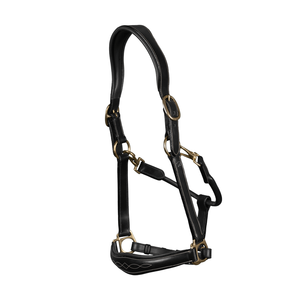 Lederhalfter 2-in-1 Transport- & Stalhalfter