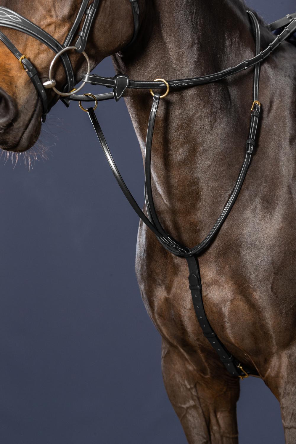 Martingal