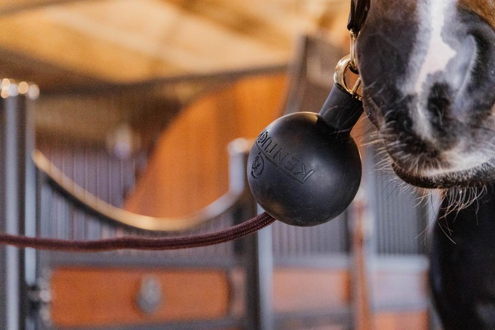 Anbinder & Wandschutz Gummiball - Kentucky Horsewear