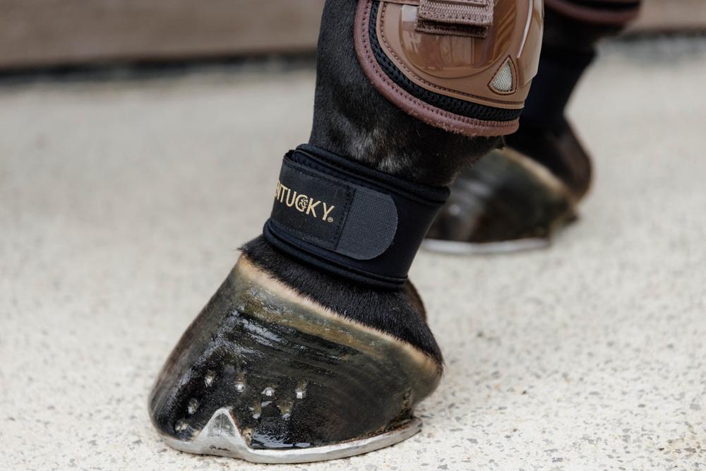 Fesselschutz - Kentucky Horsewear