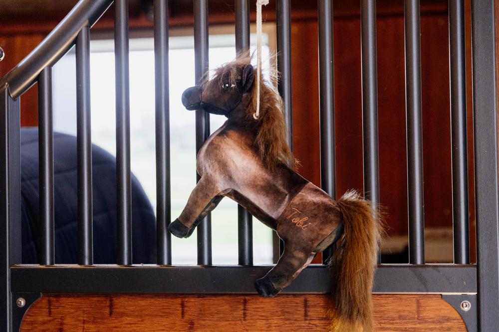Pferdespielzeug Tableux - Kentucky Horsewear