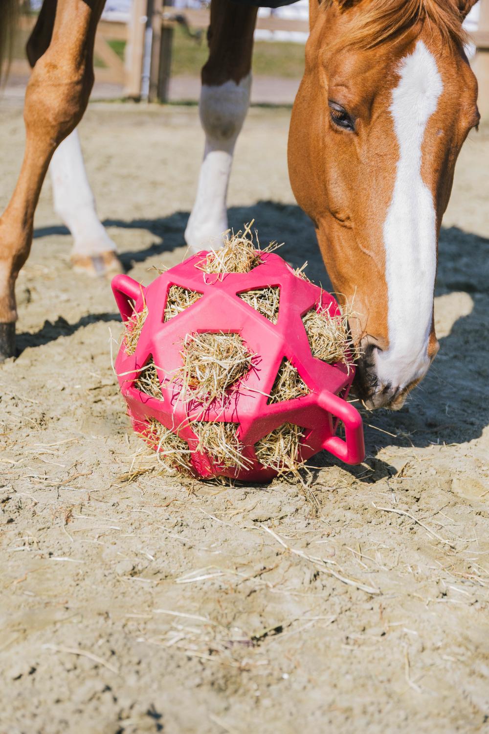 Relax Pferde Spiel & Heuball - Kentucky Horsewear