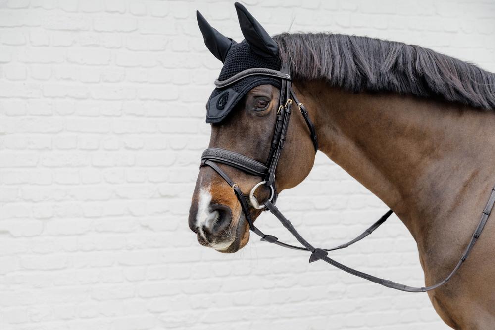 Geflochtene Trense mit schwedischem Reithalfter