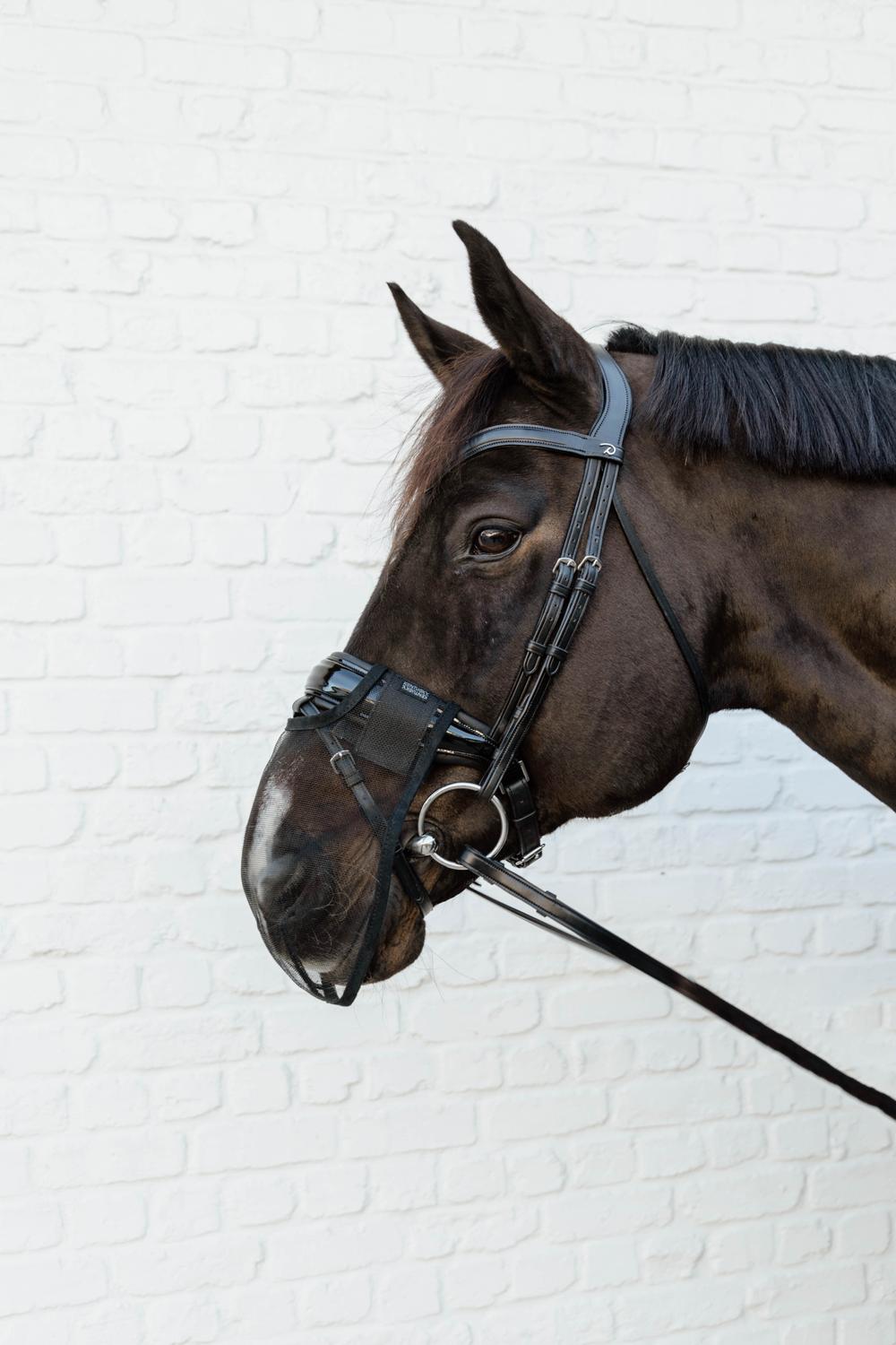 Nasennetz - Kentucky Horsewear