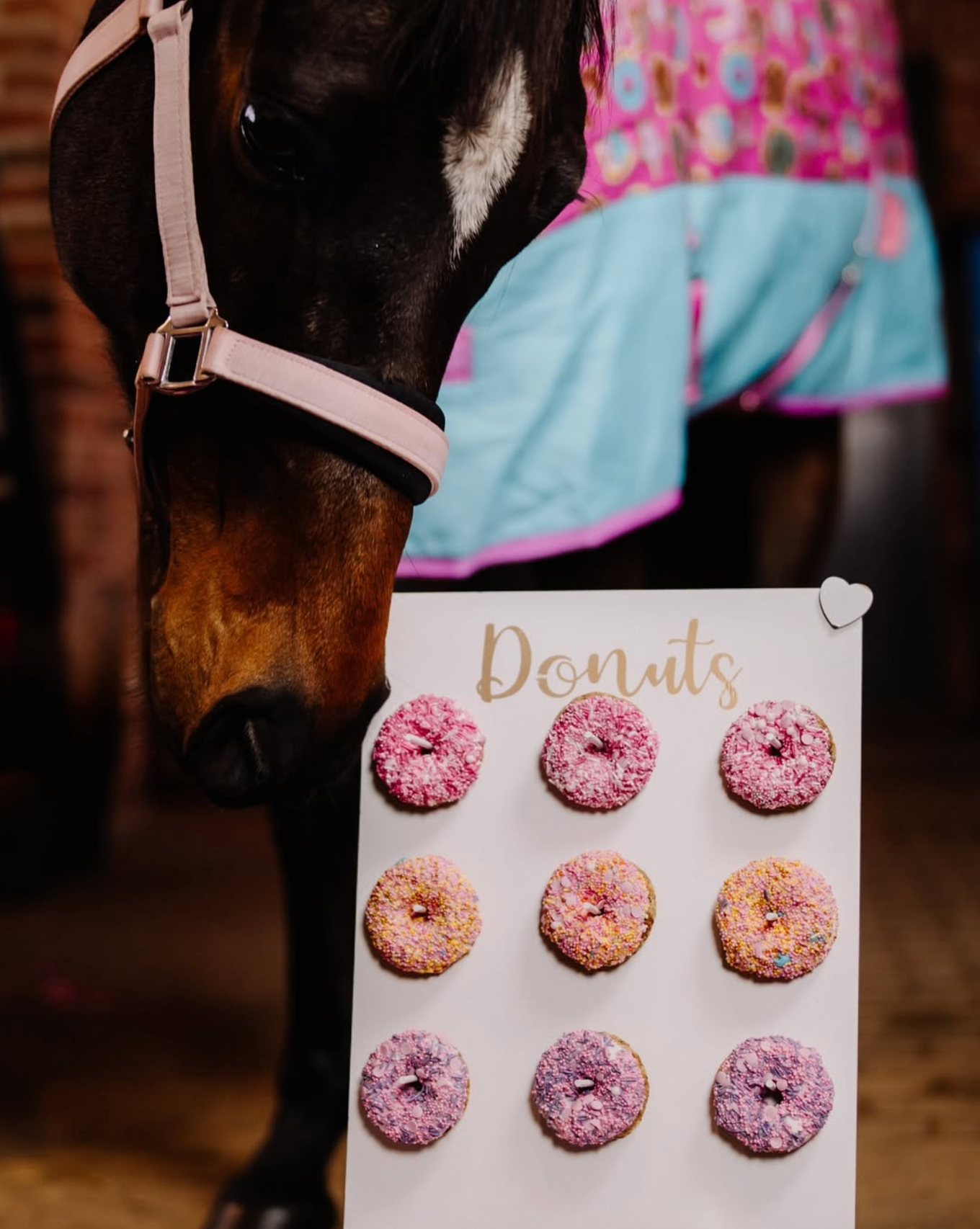 SPRINKLE DONUT Leckerlie - Pony Bueno