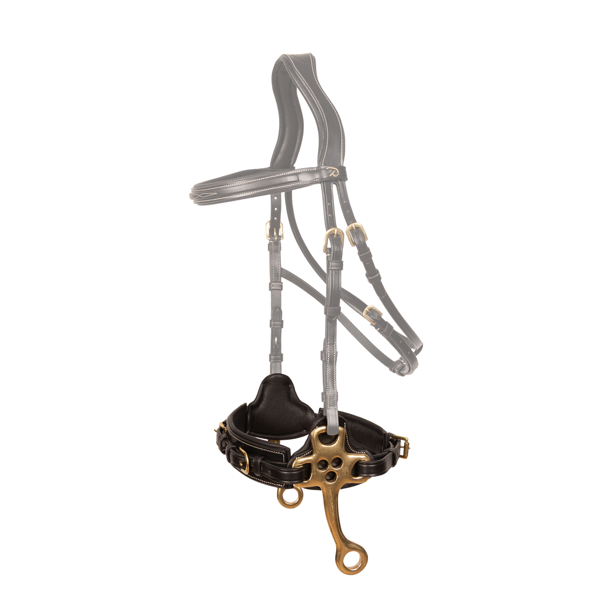 Hackamore