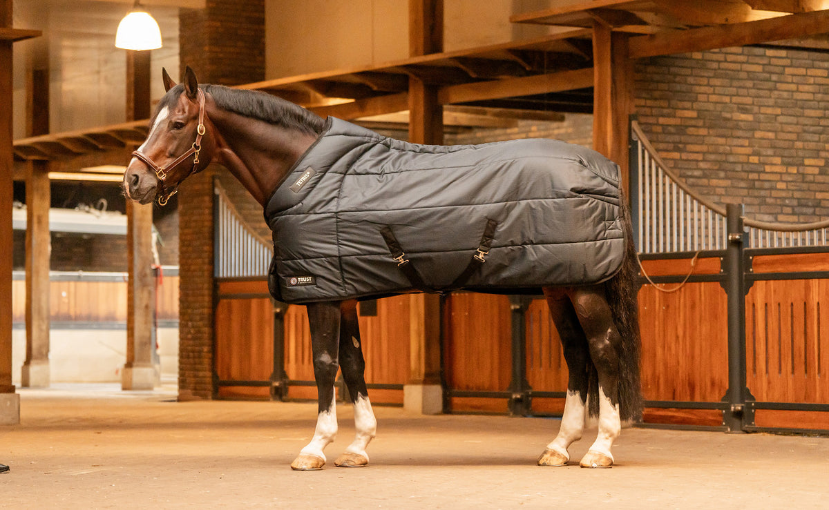 TRUST TETRIS stable rug 200g