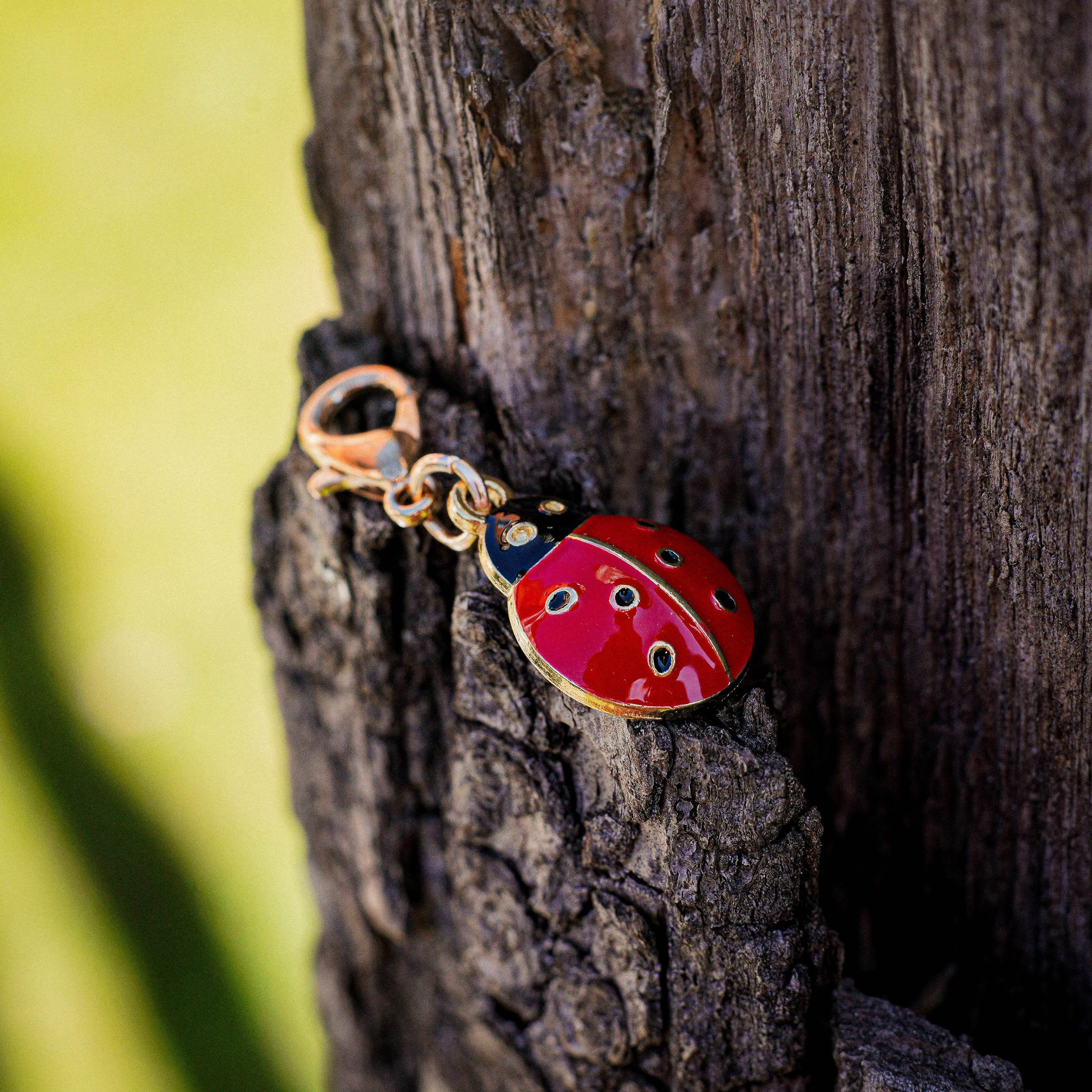 MARIENKÄFER Charm