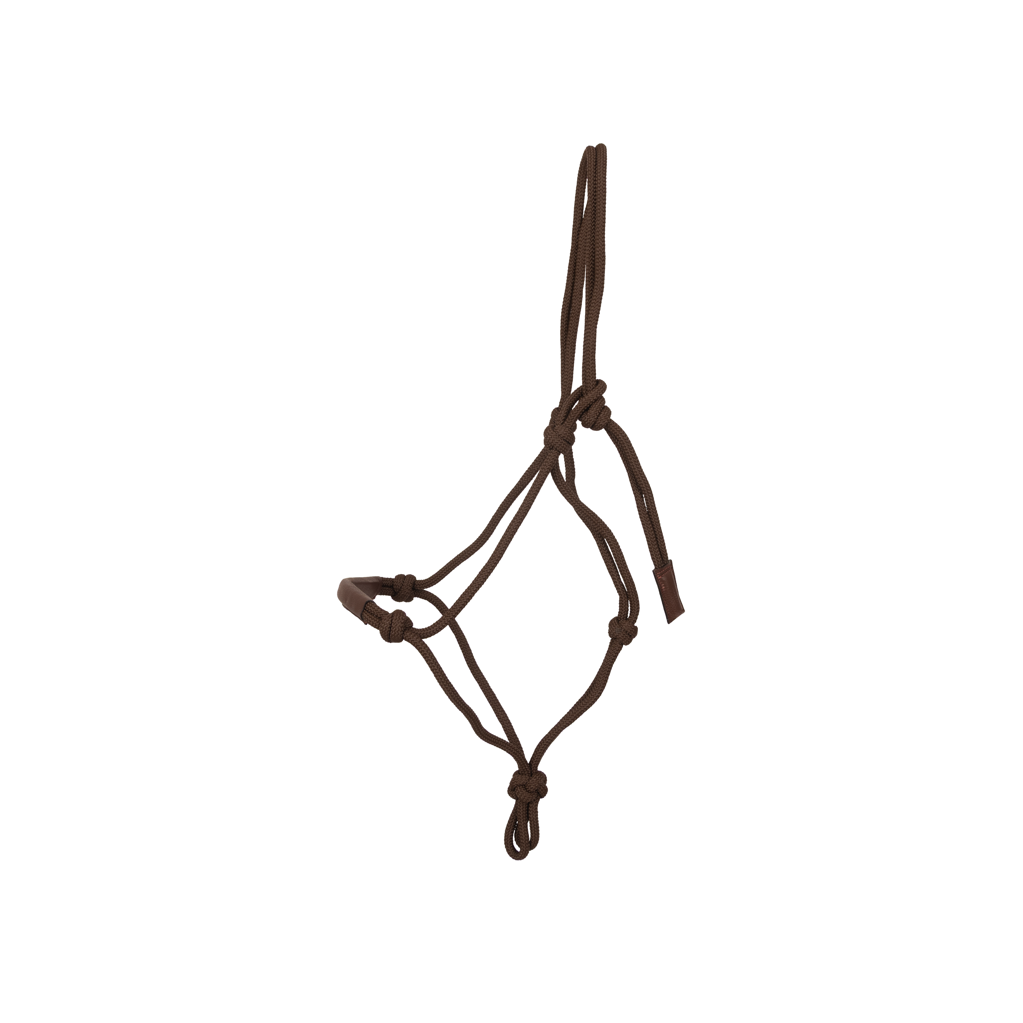 Knotenhalfter