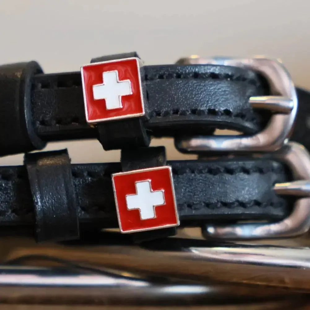SCHWEIZ Sporenriemen