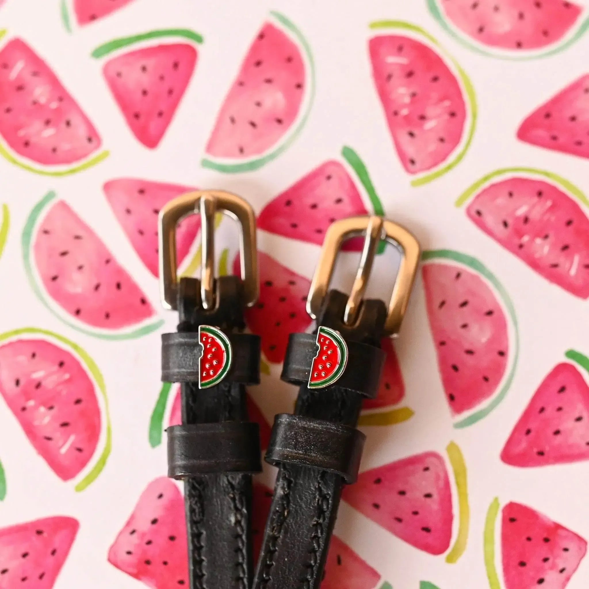 WASSERMELONE Sporenriemen