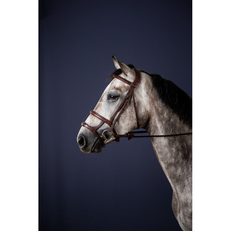 Trense mit Doppelsteg Reithalfter NEW ENGLISH Collection