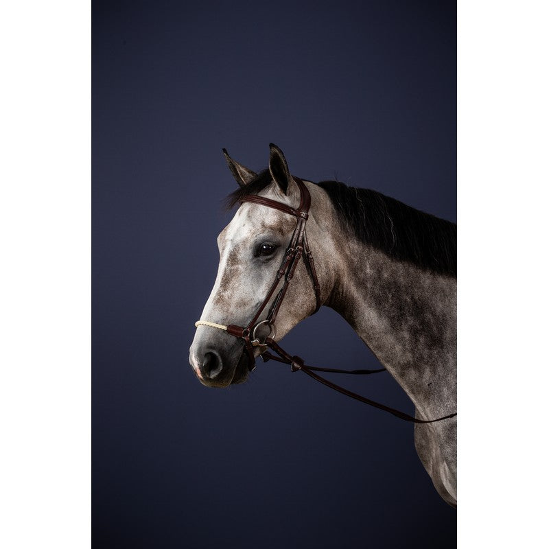 Trense mit hannoverschem Strickreithalfter NEW ENGLISH Collection