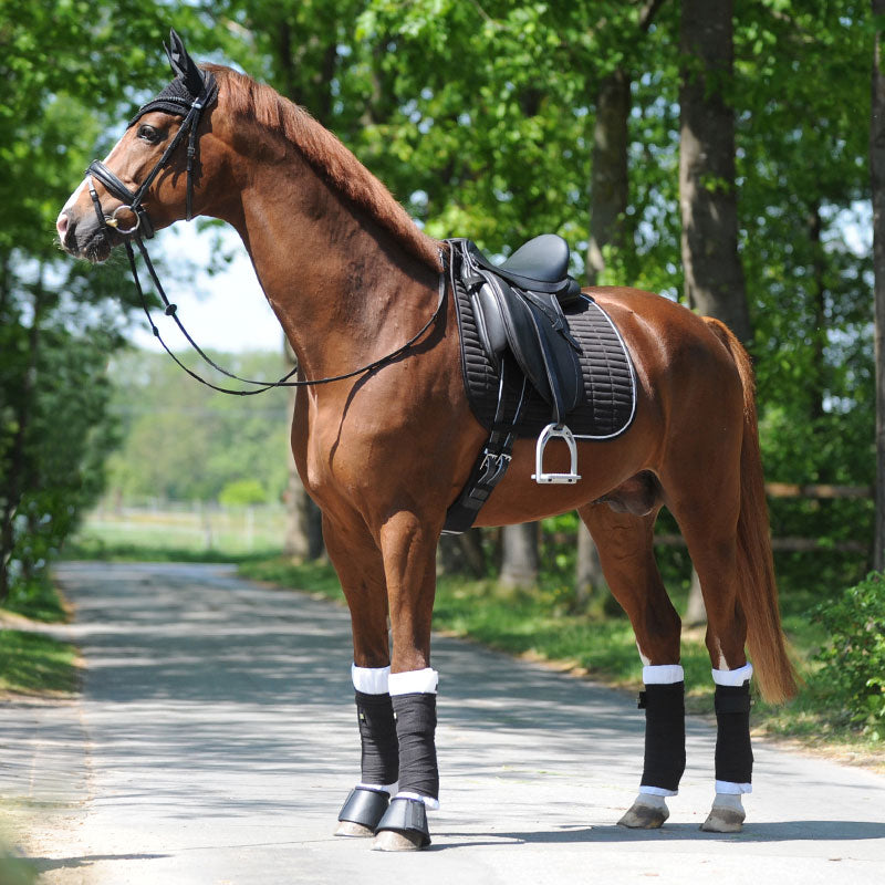 Schabracke "KavalEasy Strass"