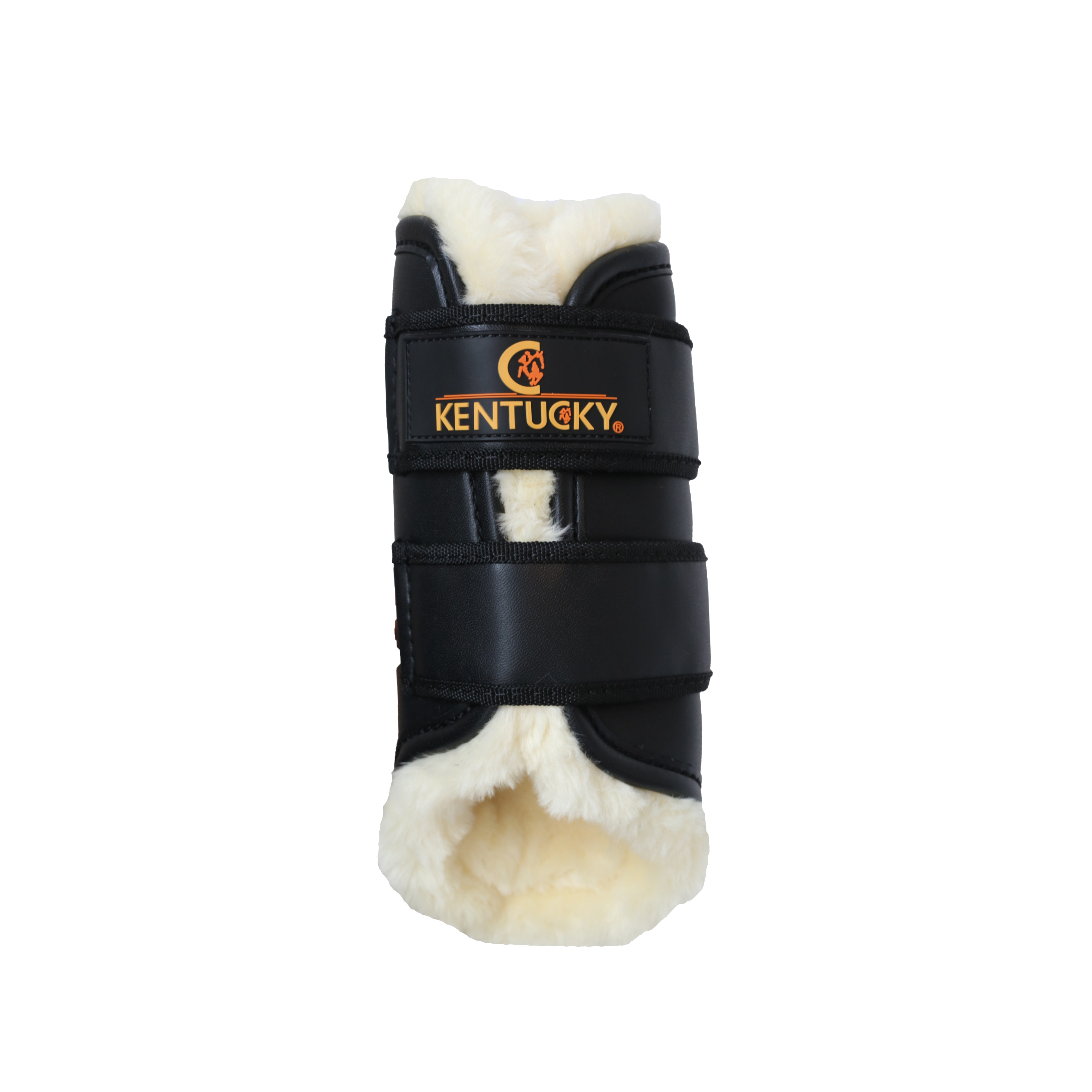 Brushing Boots Leather Front