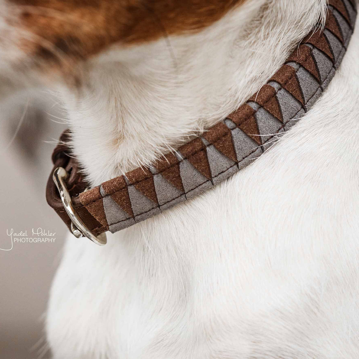 Hunde Halsband Triangle