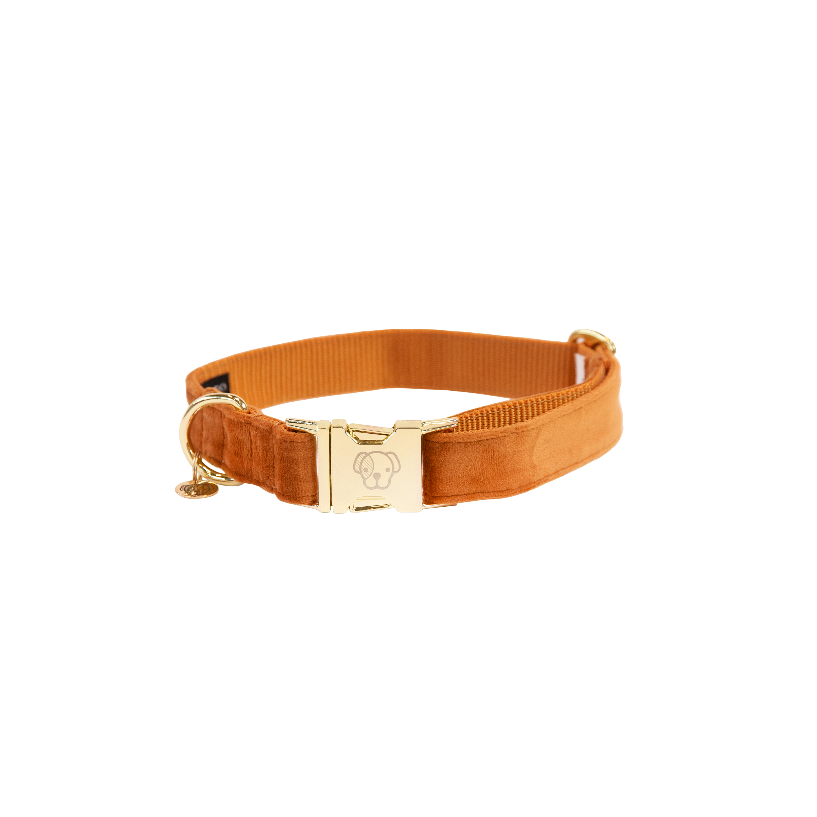 Hundehalsband Velvet