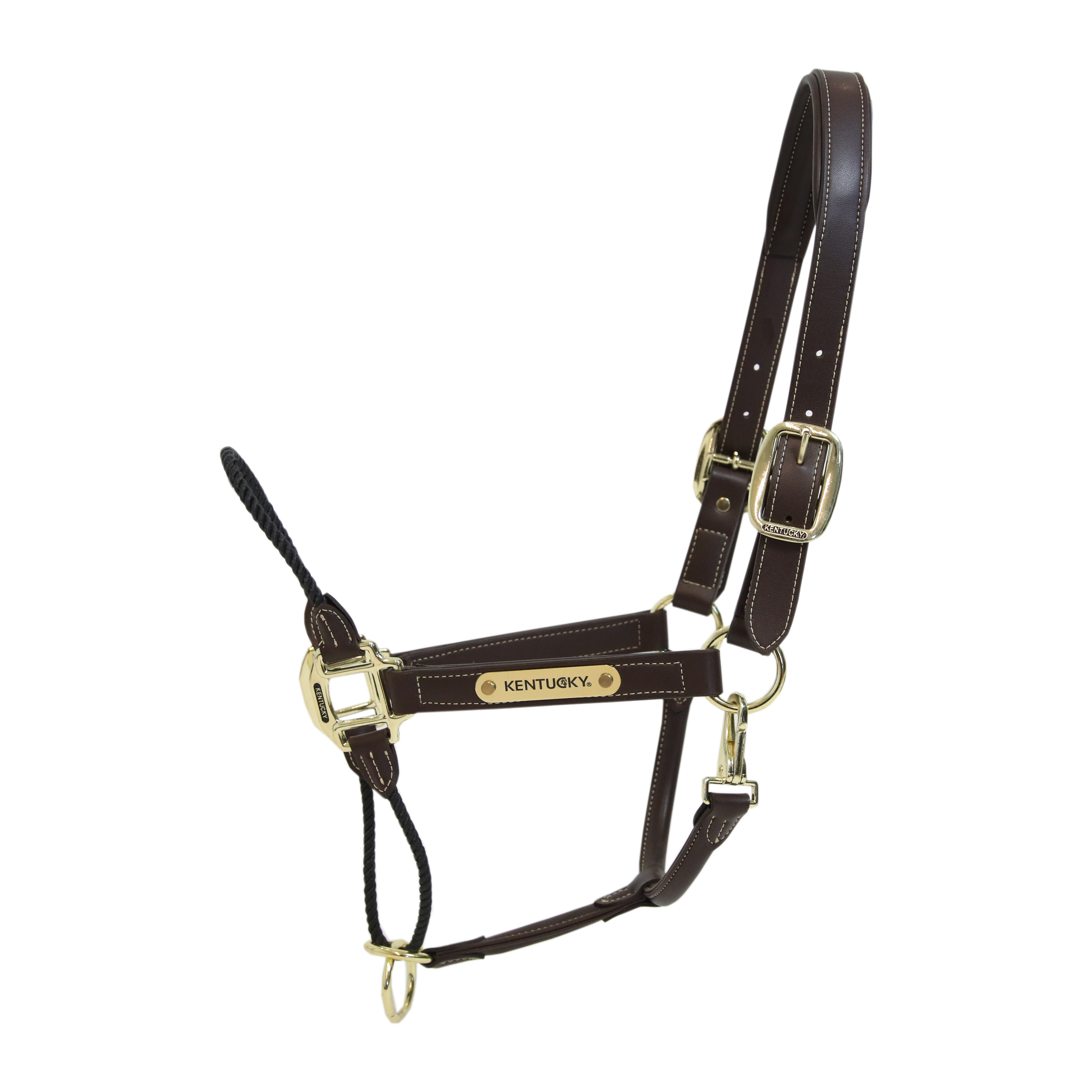 Lederhalfter Rope