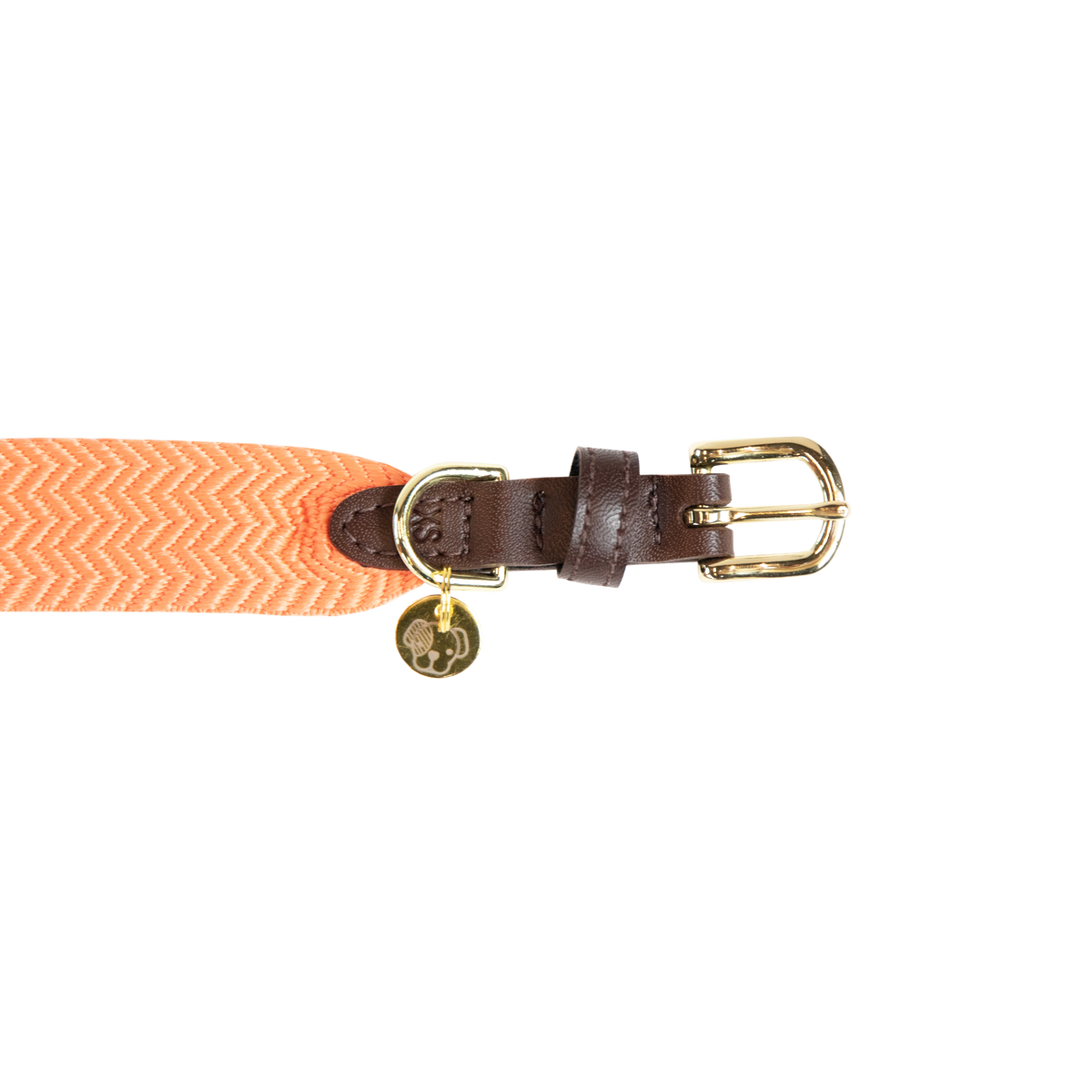 Hunde Halsband Jacquard
