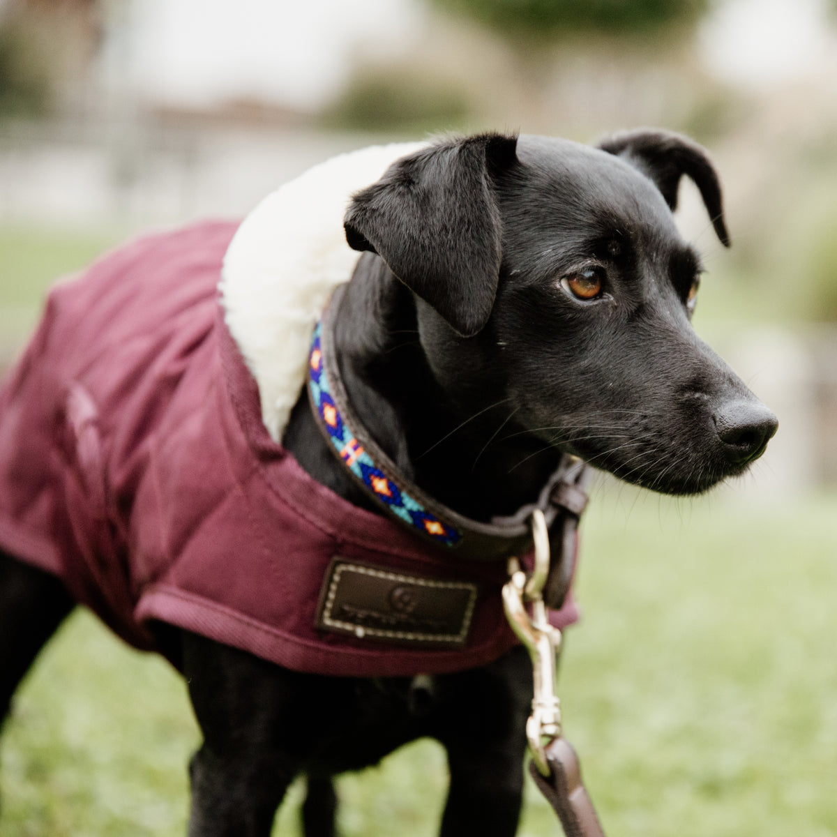 Hunde Halsband Handgemacht Perlen