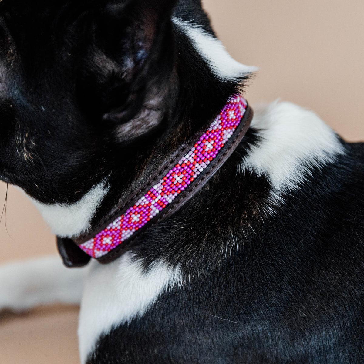 Hunde Halsband Handgemacht Perlen