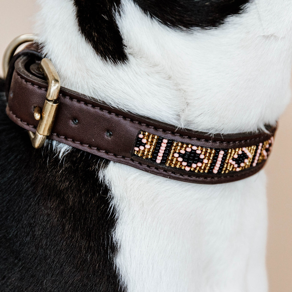 Hunde Halsband Handgemacht Perlen