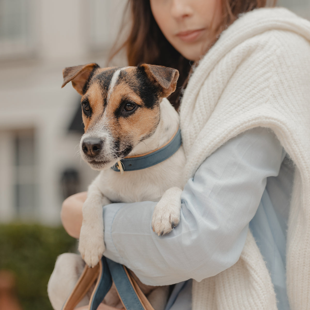 Hunde Halsband Vegan Leder