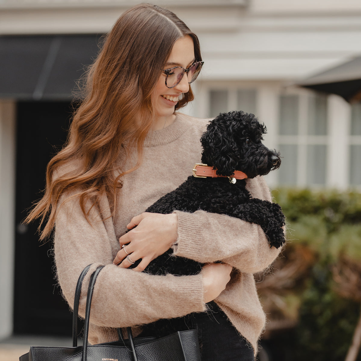 Hunde Halsband Vegan Leder