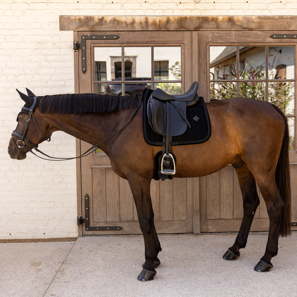 Schabracke Samt Mini Perlen Dressur
