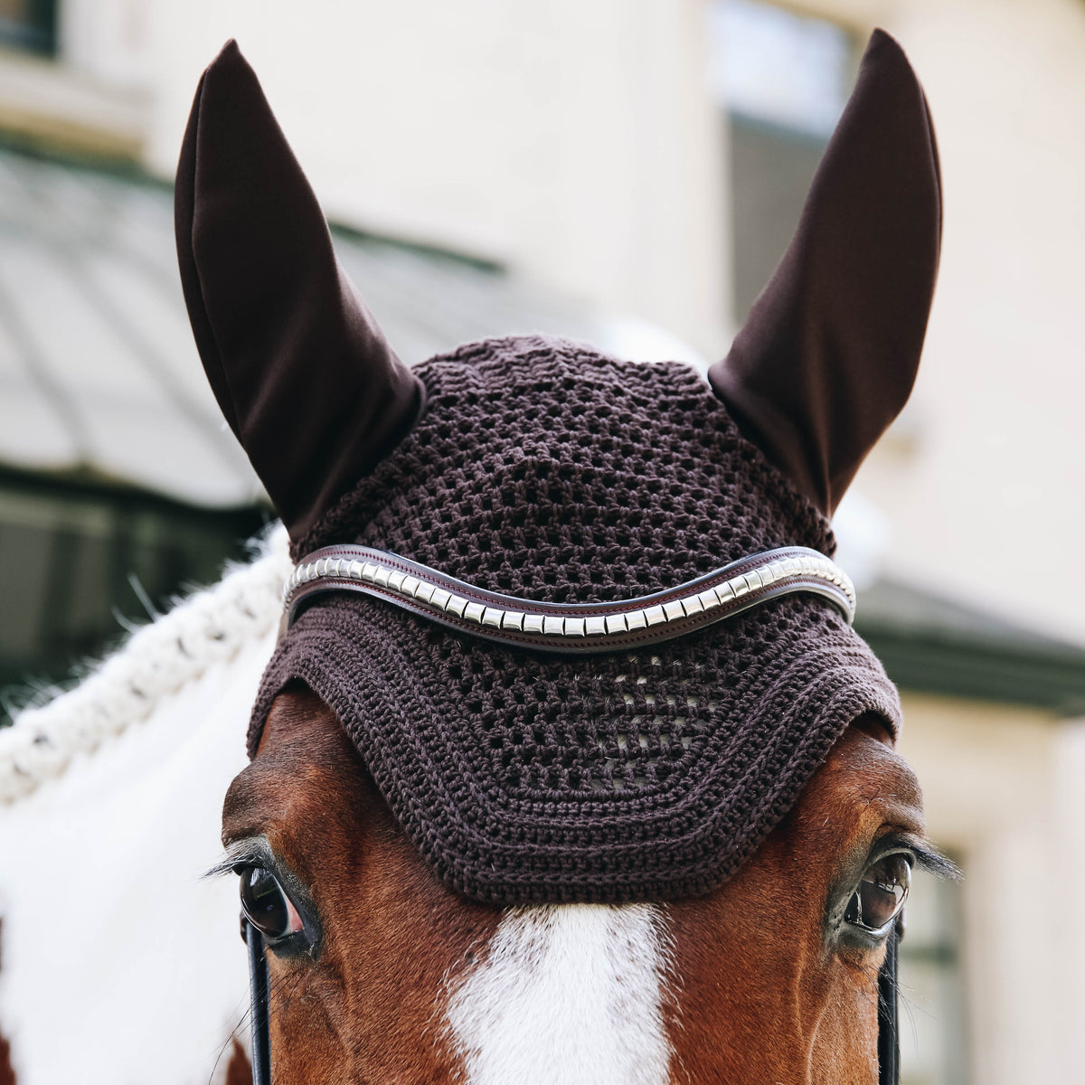 Fliegenhaube Wellington