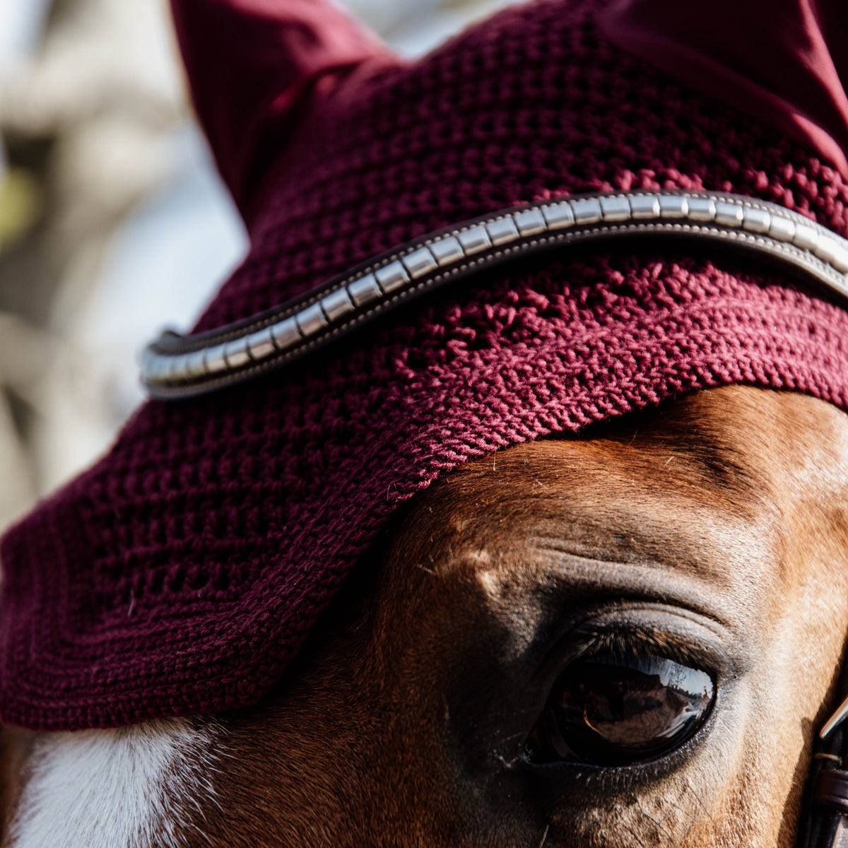 Fliegenhaube Wellington