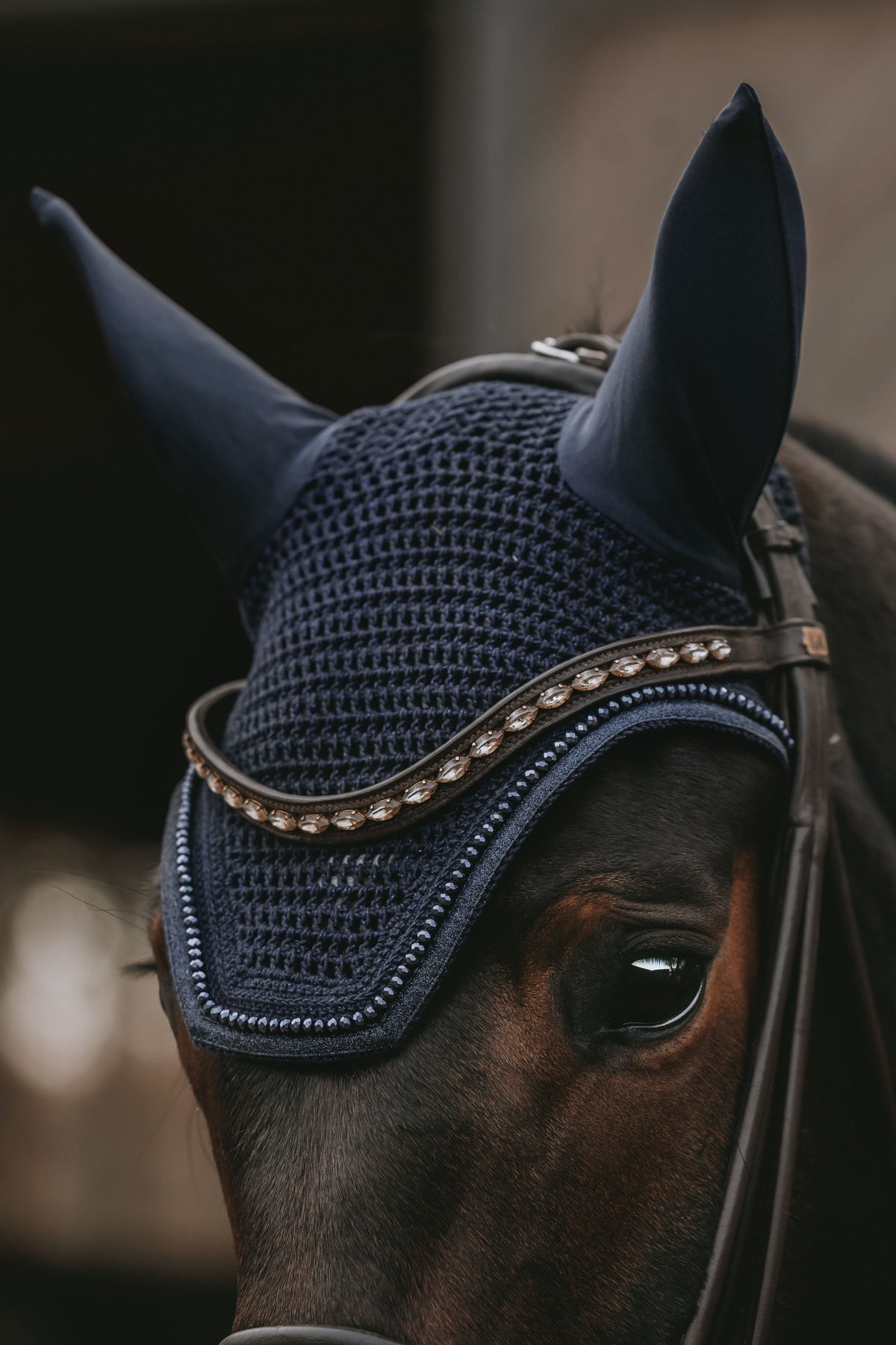 Fliegenhaube Wellington Glitzer