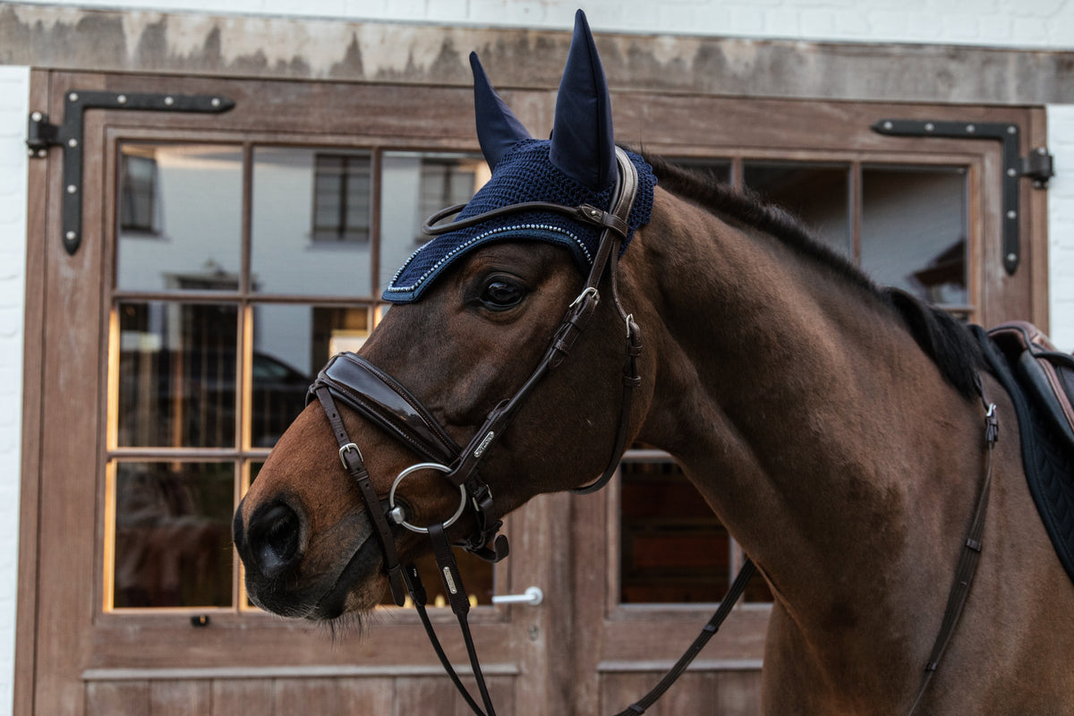 Fliegenhaube Wellington Glitzer Geräuschlos