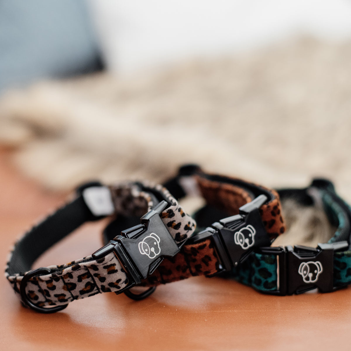 Hunde Halsband