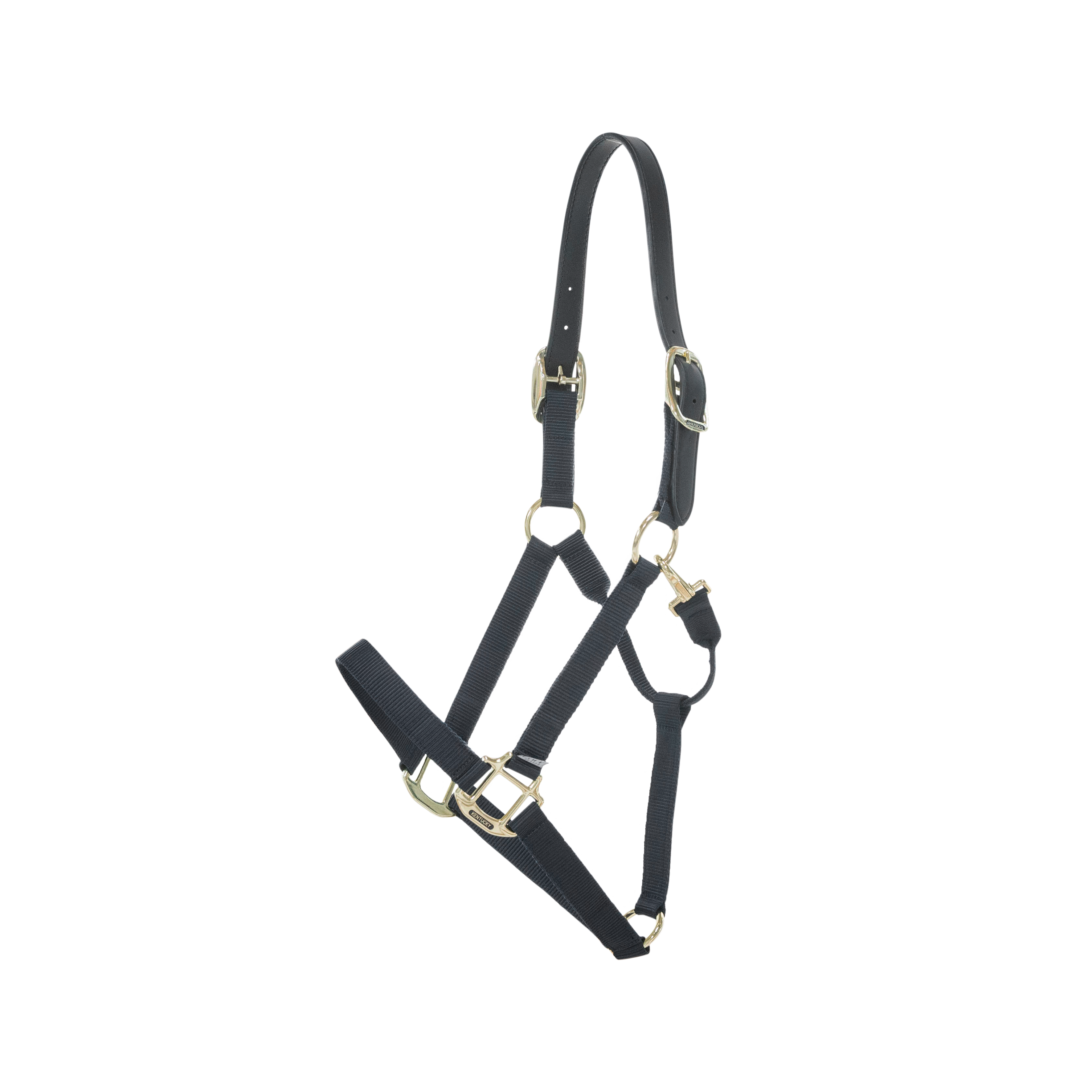 Nylon Halfter Breakaway