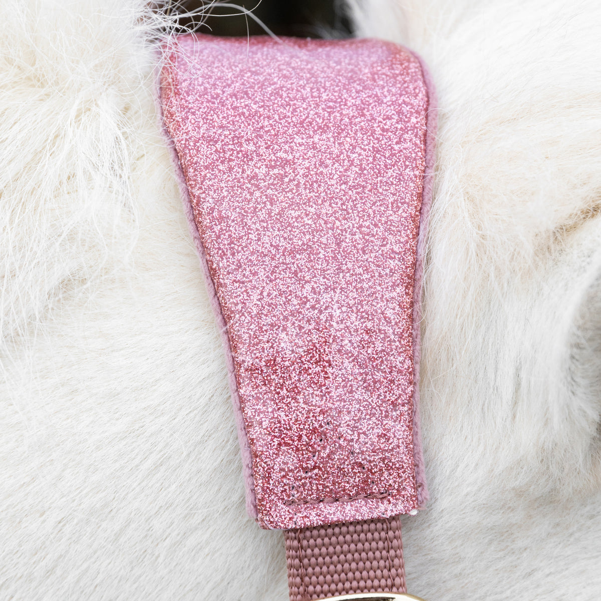 Samt Halfter Einhorn Glitzer Alt