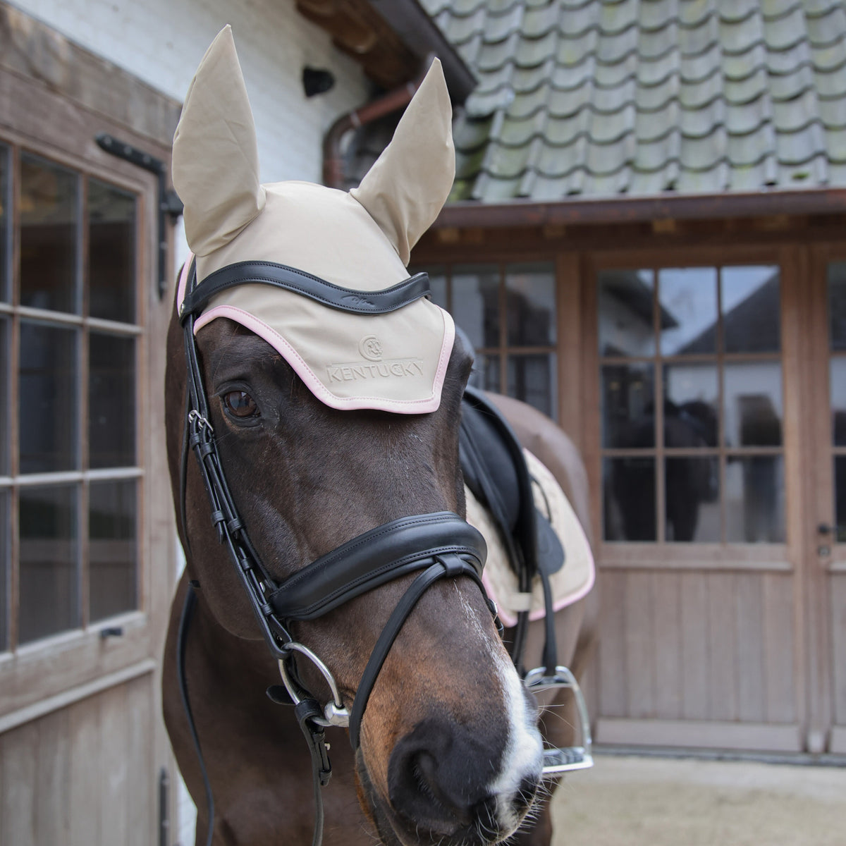 Fliegenhaube Wellington Geräuschlos Softshell