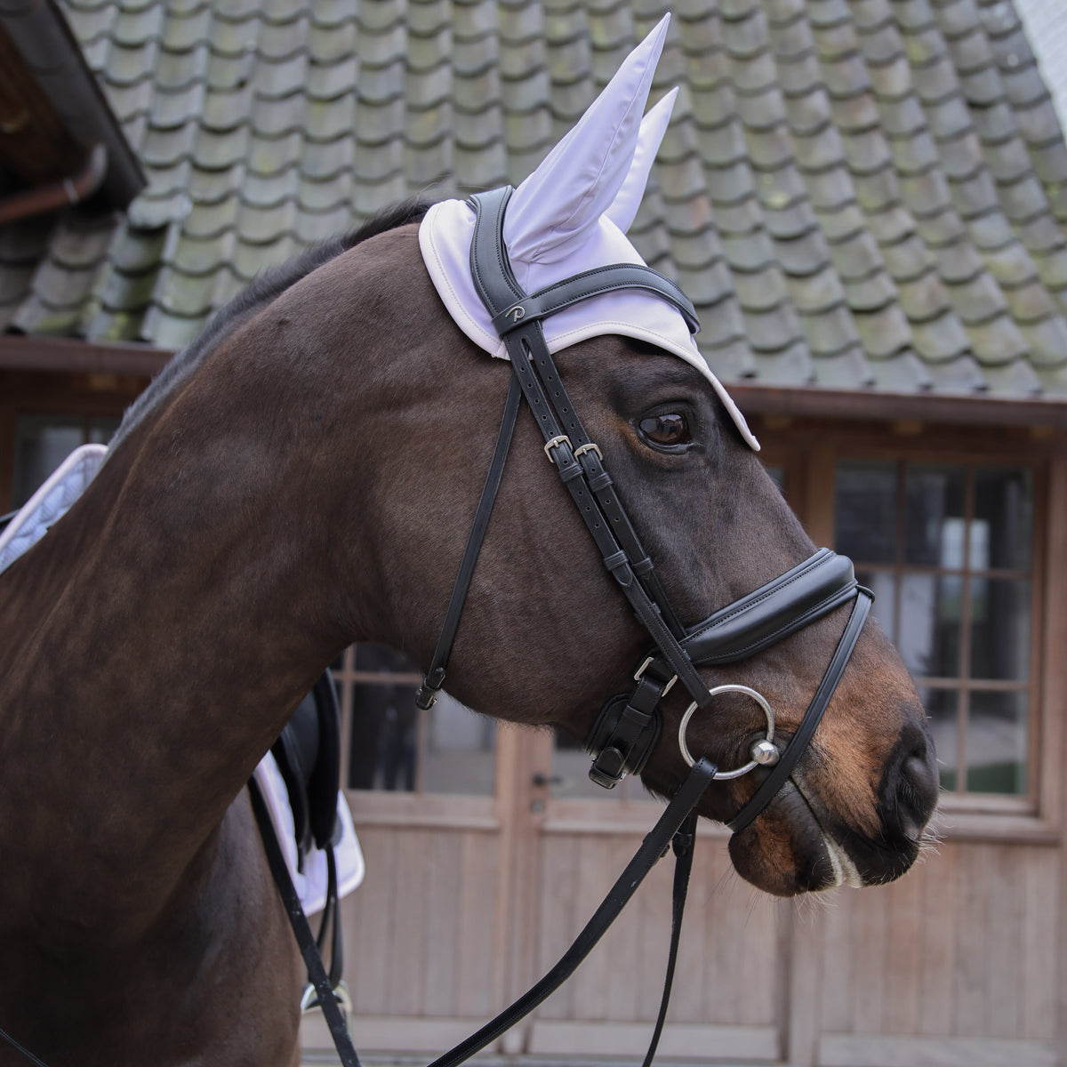 Fliegenhaube Wellington Geräuschlos Softshell Helllila Hellrose